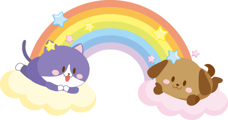 猫と犬の虹